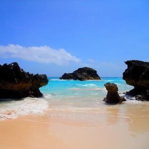 Meet your Posher, Giuliana